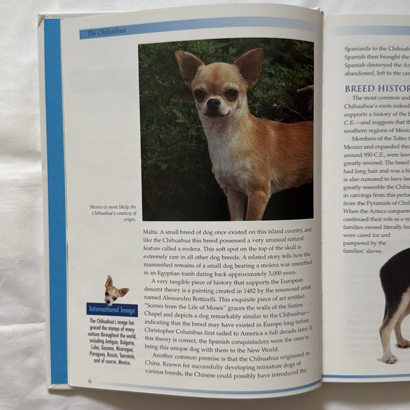 Book: The Chihuahua - Picture 5 of 12